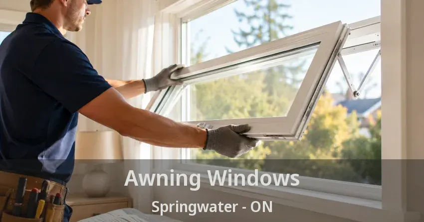 Awning Windows Springwater - ON