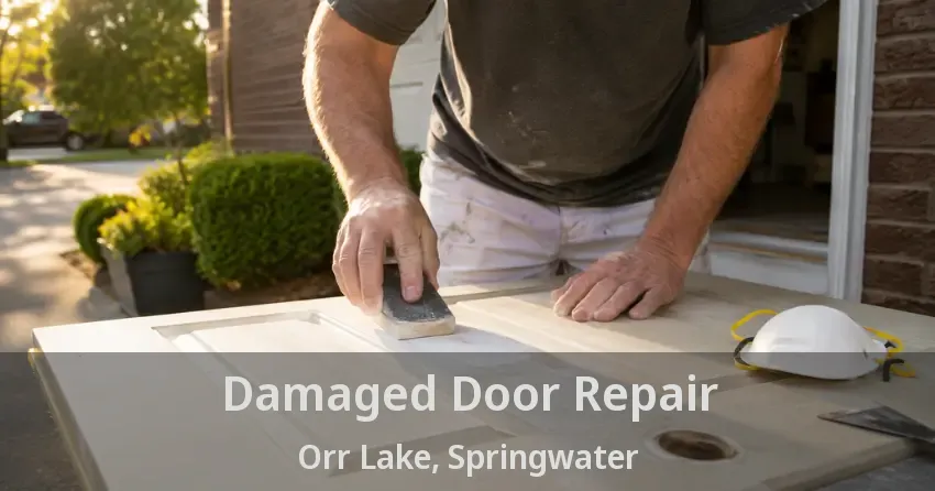 Damaged Door Repair Orr Lake, Springwater - ON