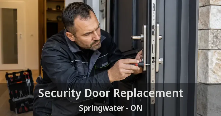 Security Door Replacement Springwater - ON